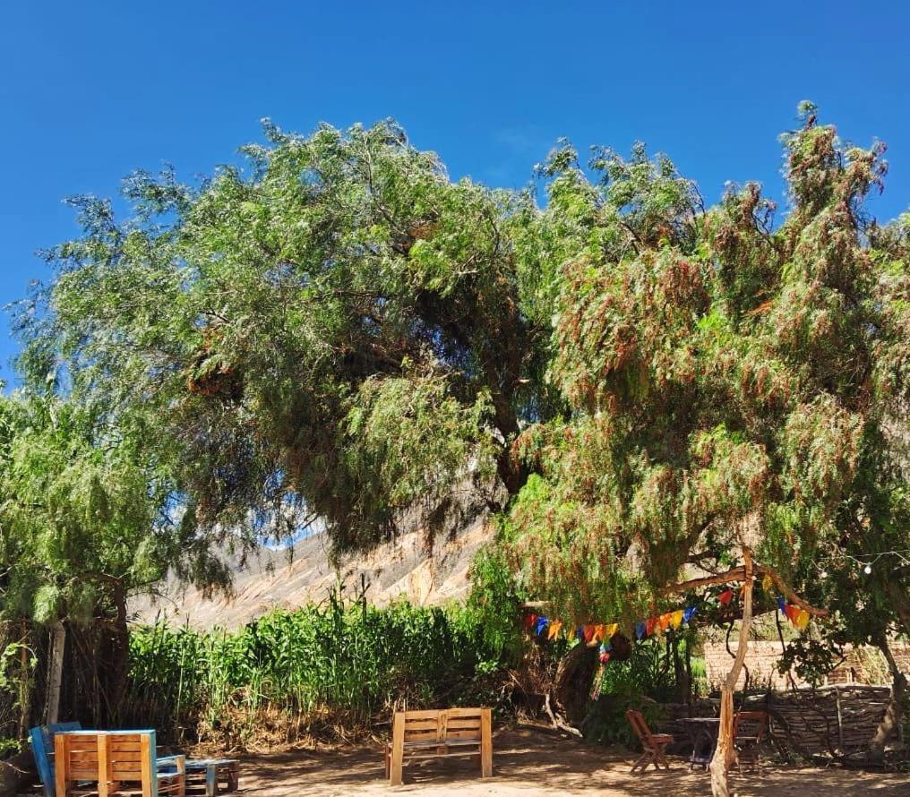 Cabanas Apu Maimara Luaran gambar